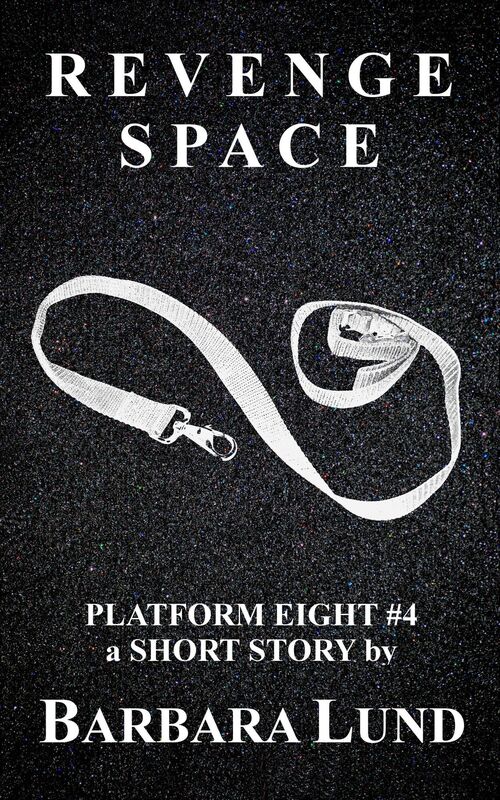 Revenge Space