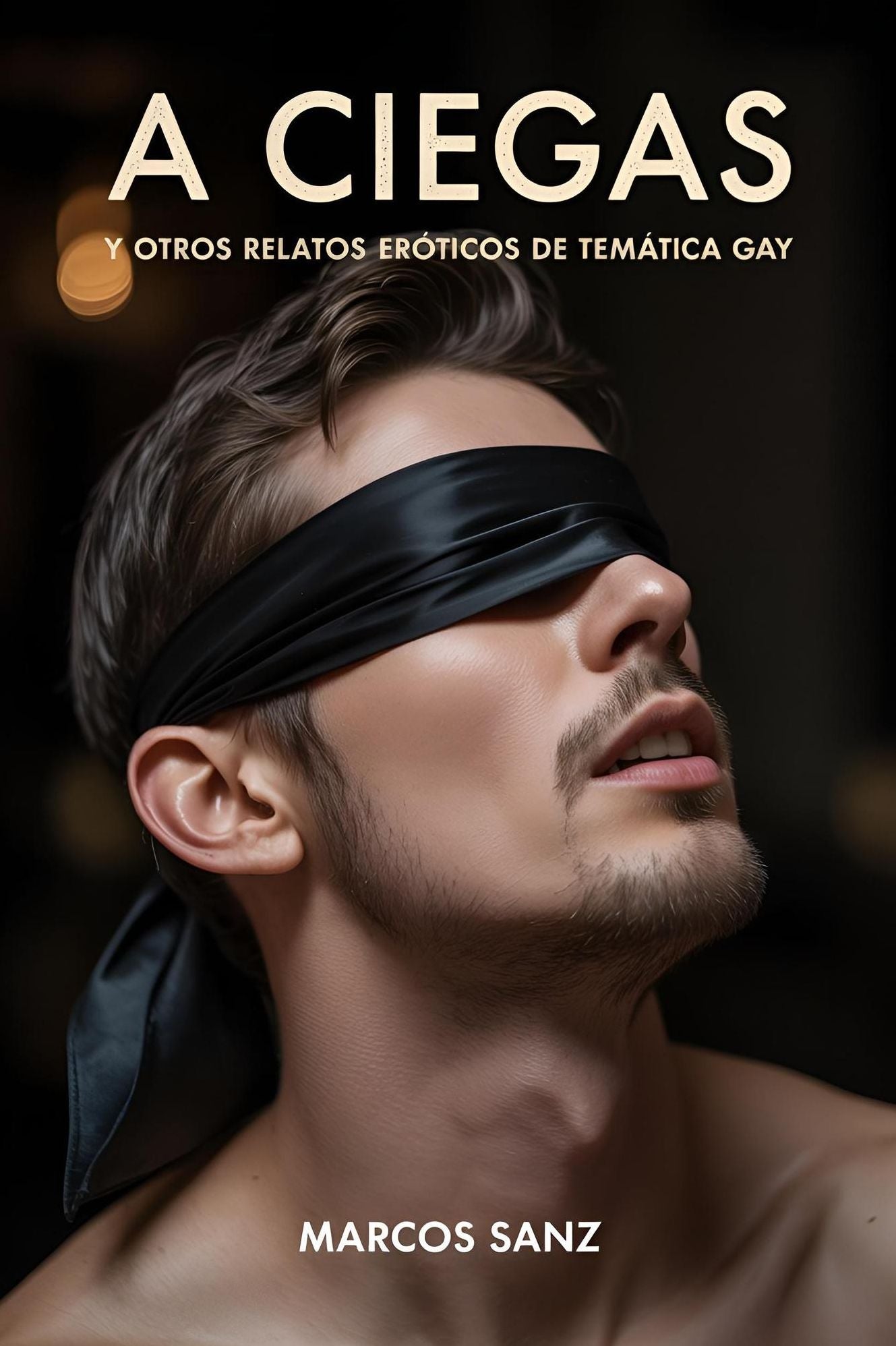 A ciegas, Y otros relatos eróticos de temática gay