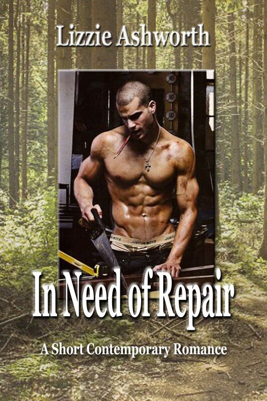 In Need of Repair