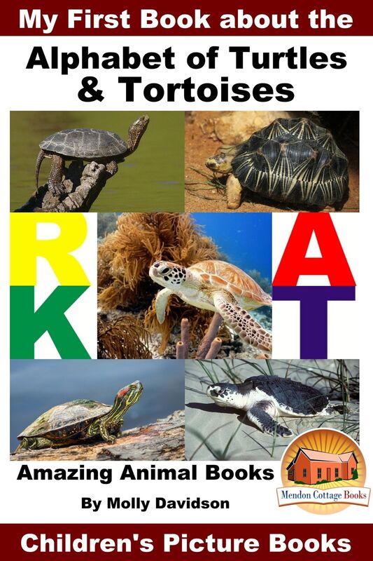 My First Book about the Alphabet of Turtles & Tortoises: Amazing Animal Books - Children's Picture Books
