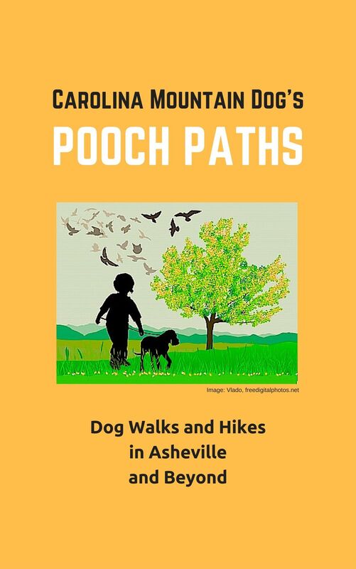 Pooch Paths: Dog Walks and Hikes in Asheville and Beyond