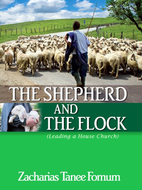 The Shepherd And The Flock (Leading a House Church)