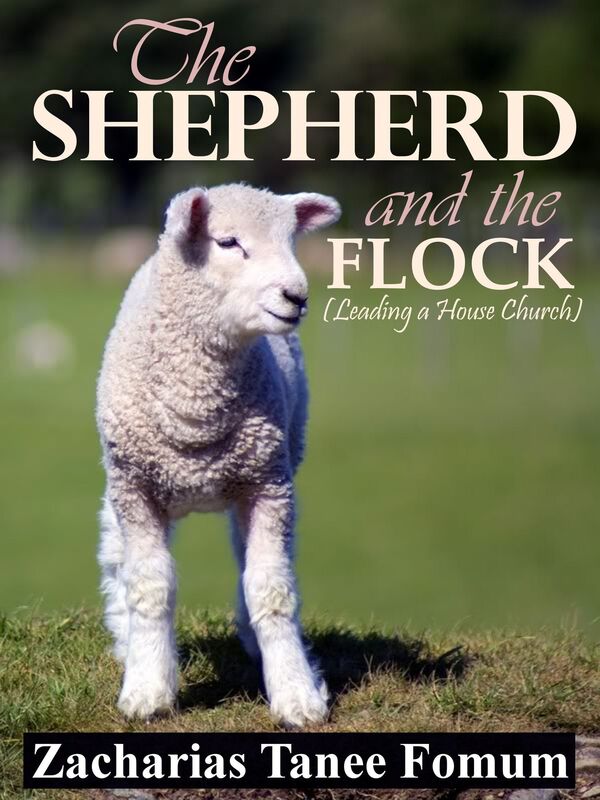 The Shepherd And The Flock (Leading a House Church)