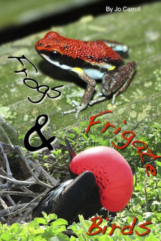 Frogs and Frigate Birds
