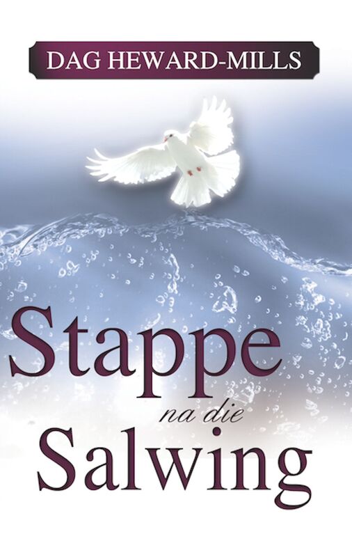 Stappe na die Salwing