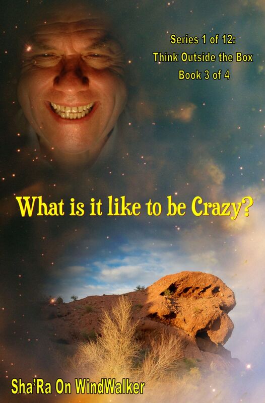 What Is It Like To Be Crazy