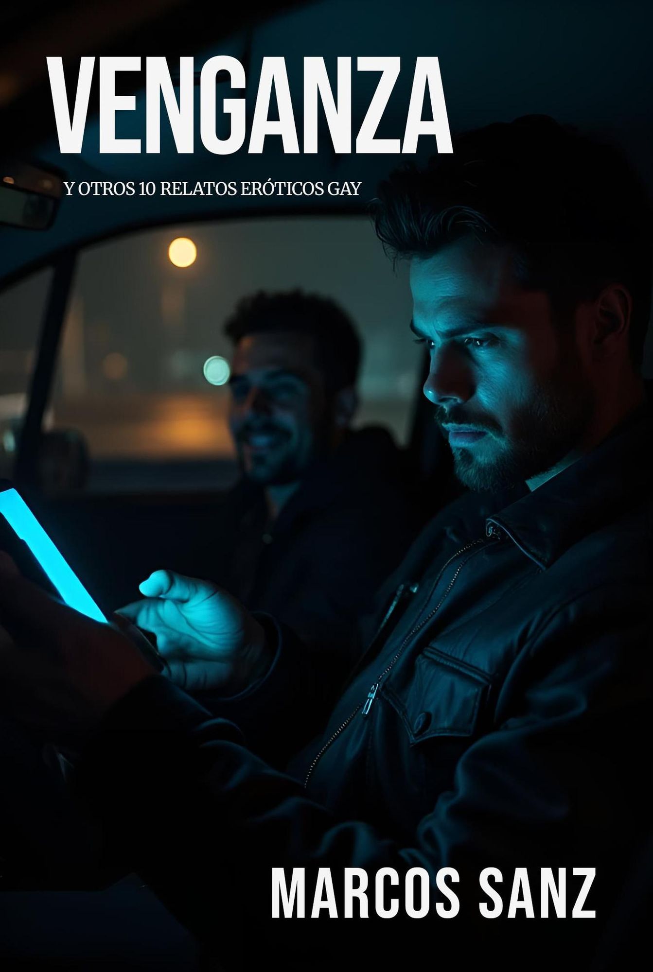 Venganza. Y otros 10 relatos eróticos gay