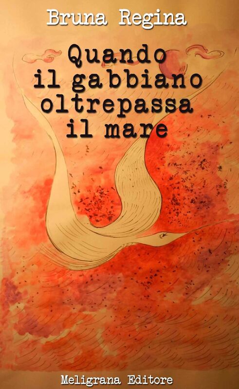 Quando il gabbiano oltrepassa il mare