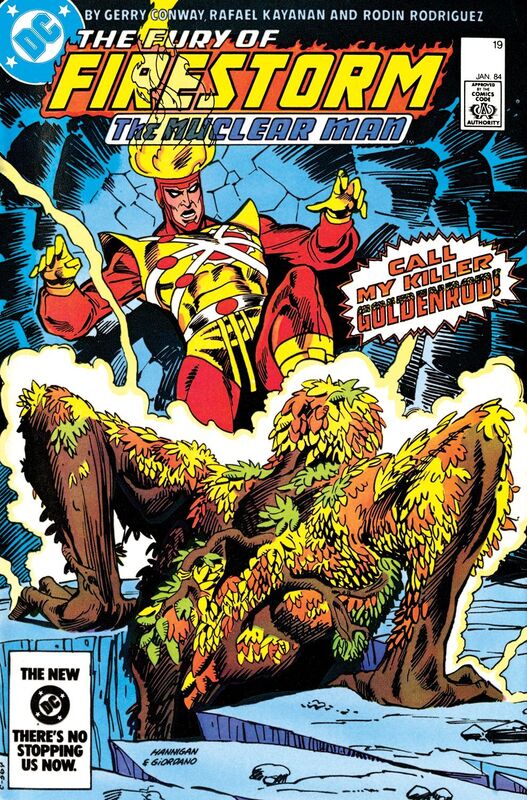 The Fury of Firestorm (1982-) #19