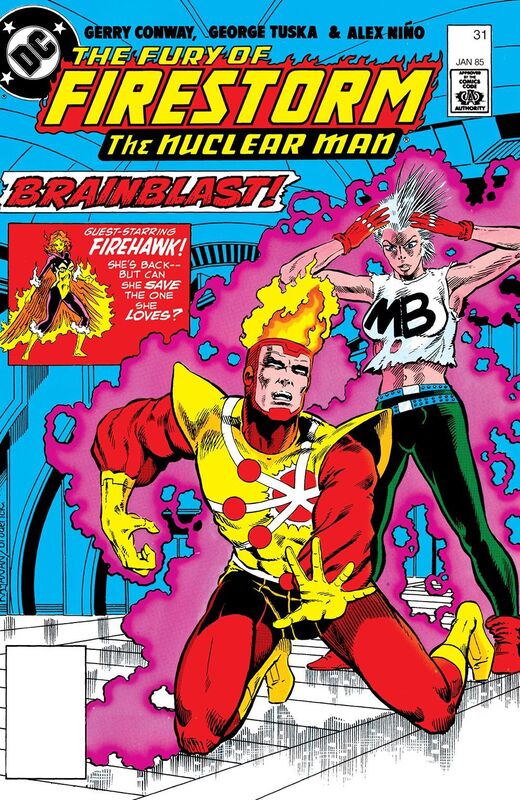 The Fury of Firestorm (1982-) #31