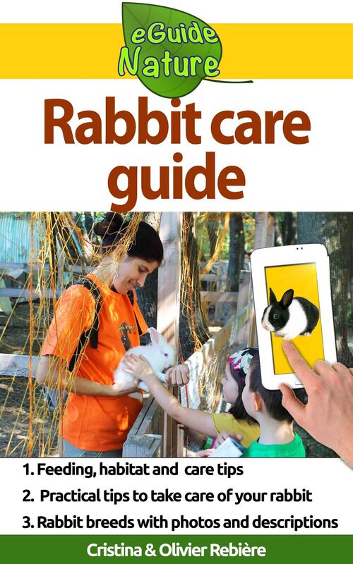 Rabbit care guide: Small digital guide to take care of your pet