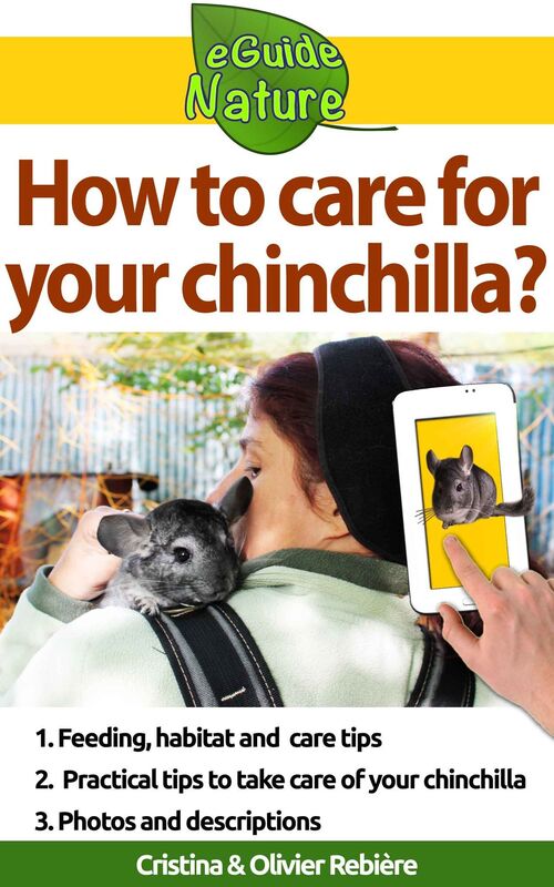 How to care for your chinchilla?: Small digital guide to take care of your pet