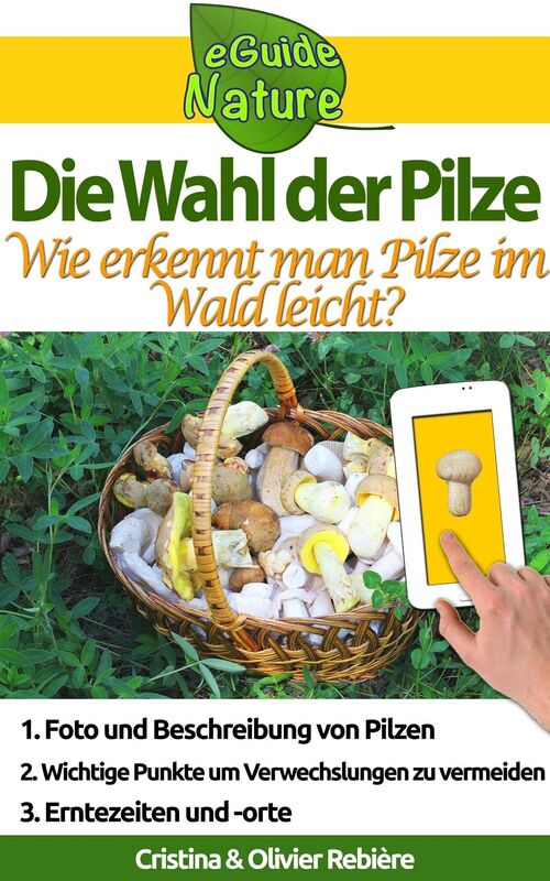 Die Wahl der Pilze: Wie erkennt man Pilze im Wald leicht?