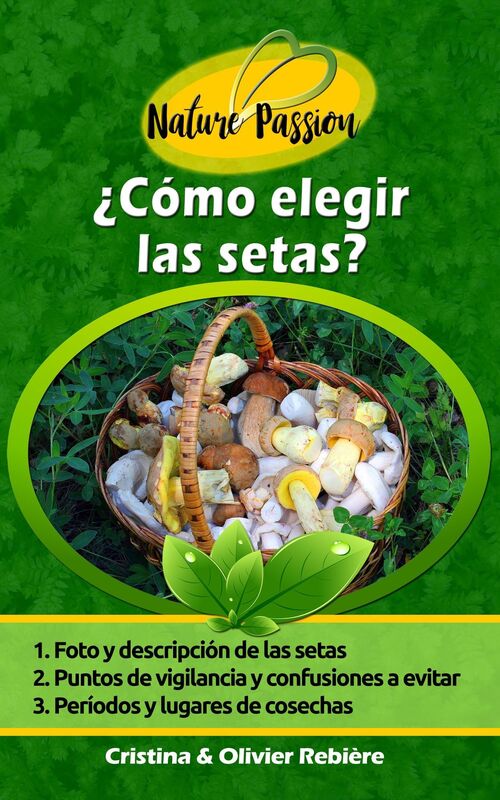 Cómo elegir las setas?: Cómo reconocer las setas en el bosque?
