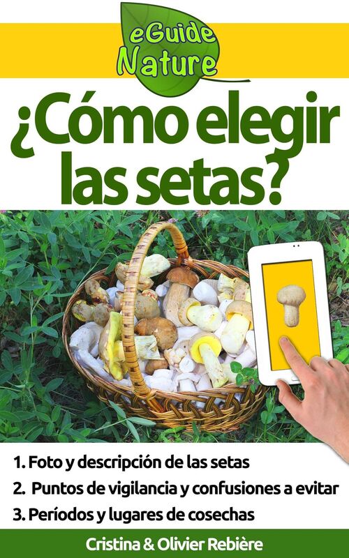 Cómo elegir las setas?: Cómo reconocer las setas en el bosque?
