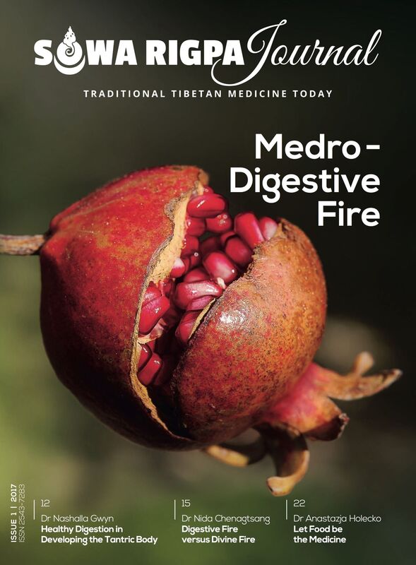 Sowa Rigpa Journal #1: Traditional Tibetan Medicine Today