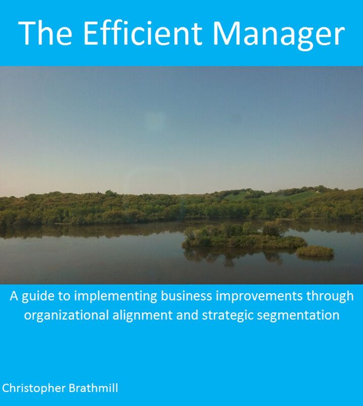 The Efficient Manager: A guide to implementing business improvements through organizational alignment and strategic segmentation