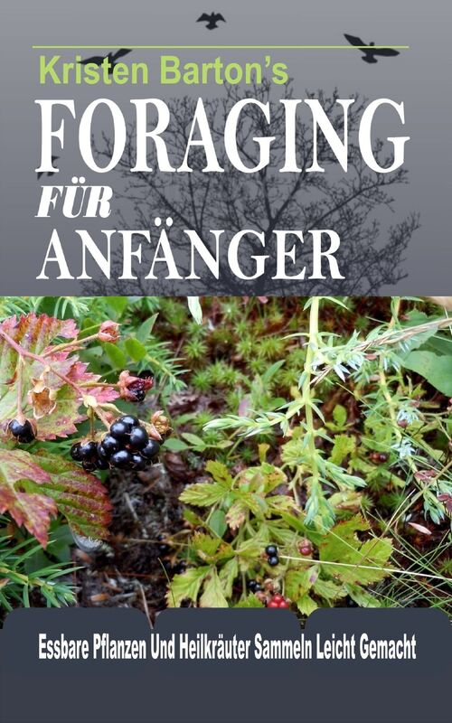 Foraging Für Anfänger: Essbare Pflanzen Und Heilkräuter Sammeln Leicht Gemacht