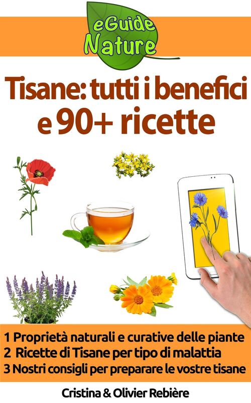 Tisane: tutti i benefici e 90+ ricette: Piccola guida digitale alle proprietà naturali e curative delle piante