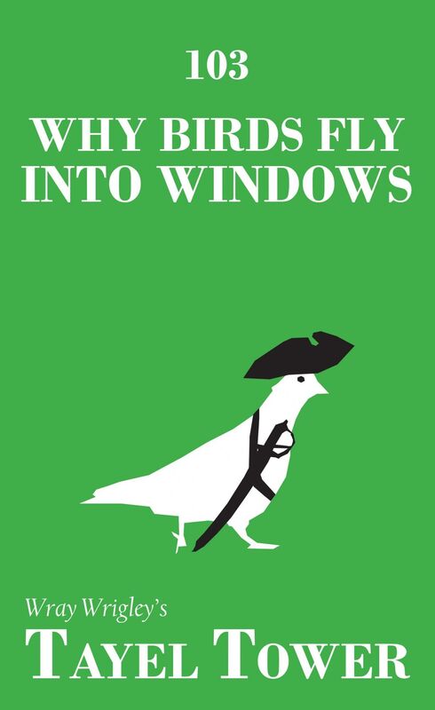 Why Birds Fly Into Windows