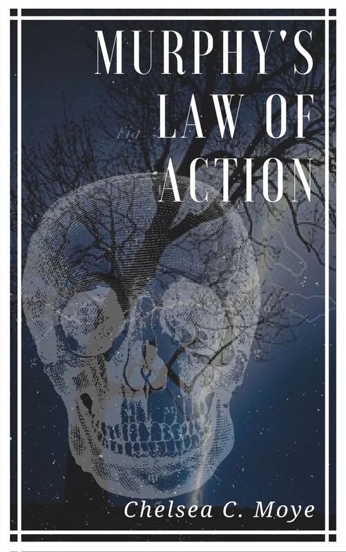 Murphy's Law of Action: A Murphy Family Mystery Short