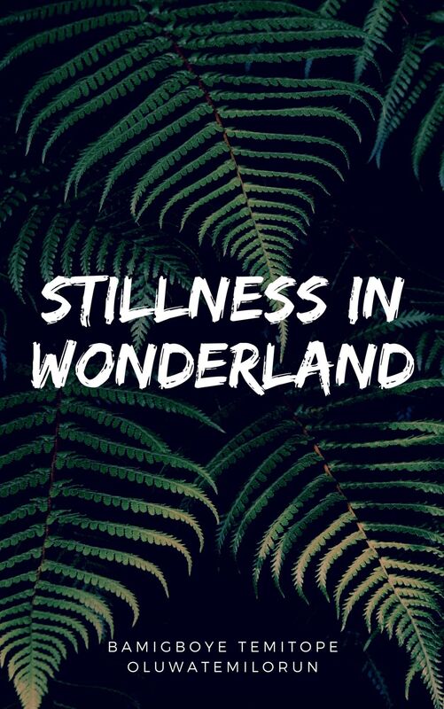 Stillness In Wonderland