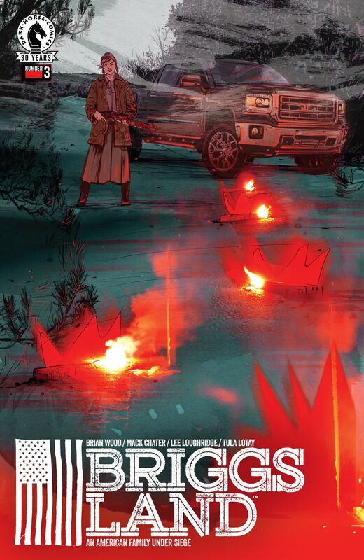 Briggs Land #3