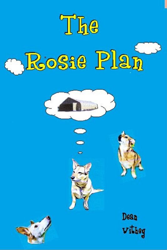 The Rosie Plan