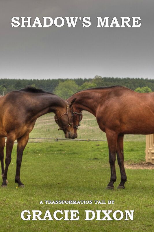 Transformation Tales: Shadow's Mare