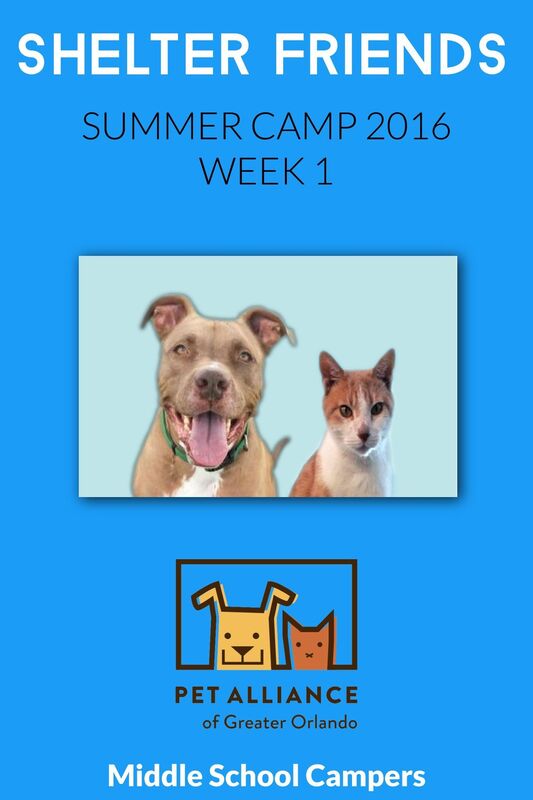 Shelter Friends Summer Camp 2016: Week 1