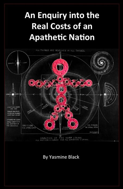 An Enquiry Into The Real Costs of an Apathetic Nation