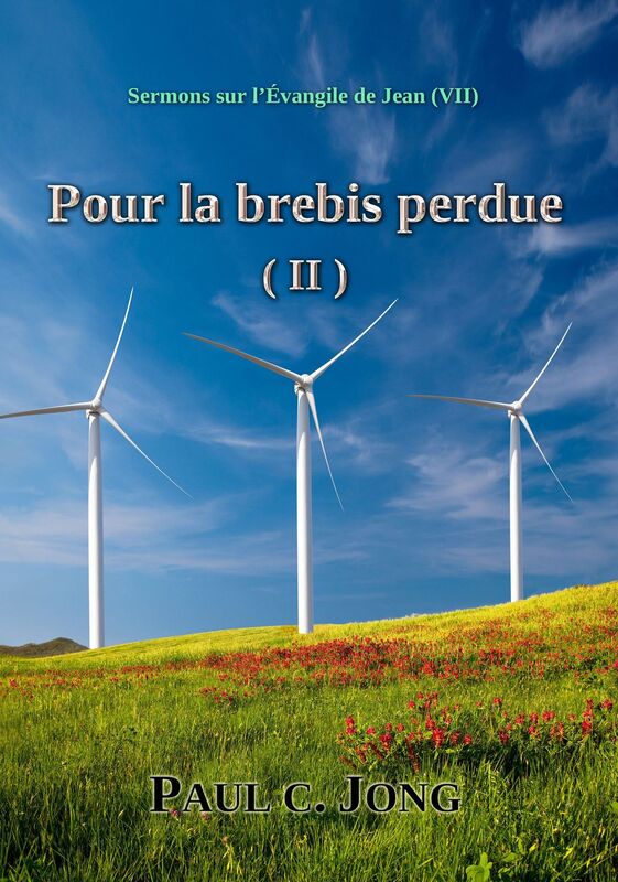 Sermons sur l'Evangile de Jean (VII) - Pour la brebis perdue ( II )