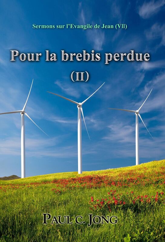 Sermons sur l'Evangile de Jean (VII) - Pour la brebis perdue ( II )