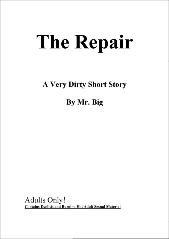 The Repair