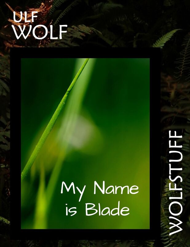 My Name is Blade