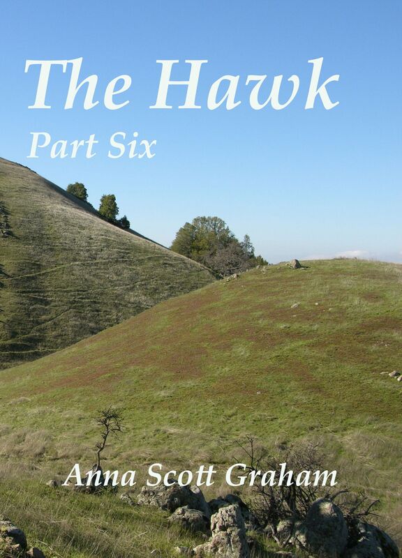 The Hawk: Part Six