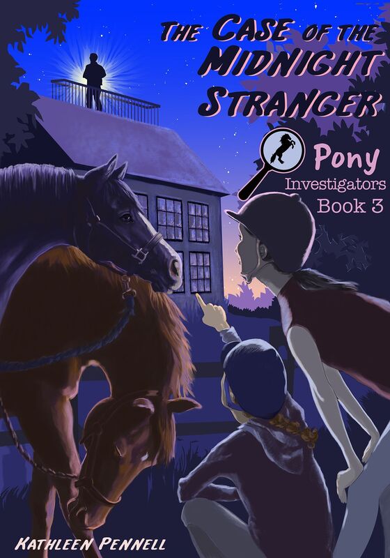The Case of the Midnight Stranger