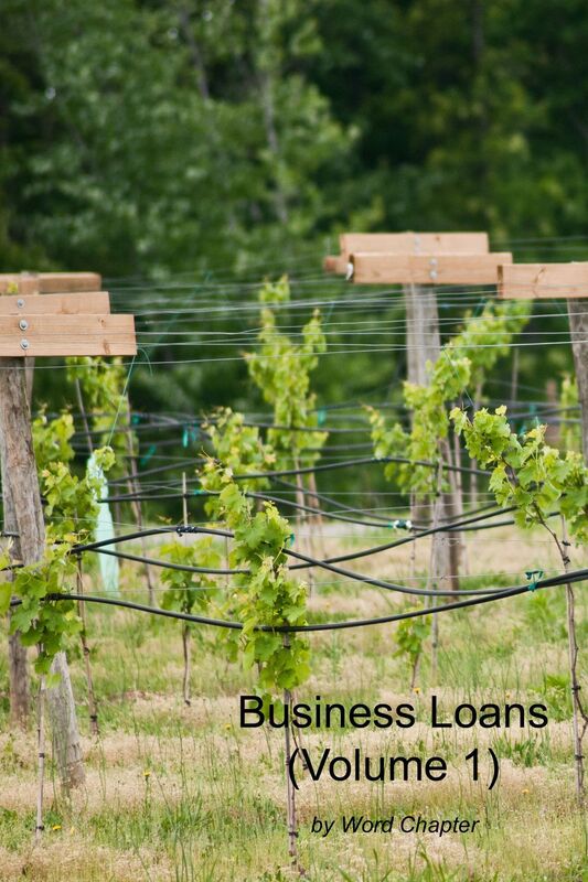 Business Loans (Volume 1)