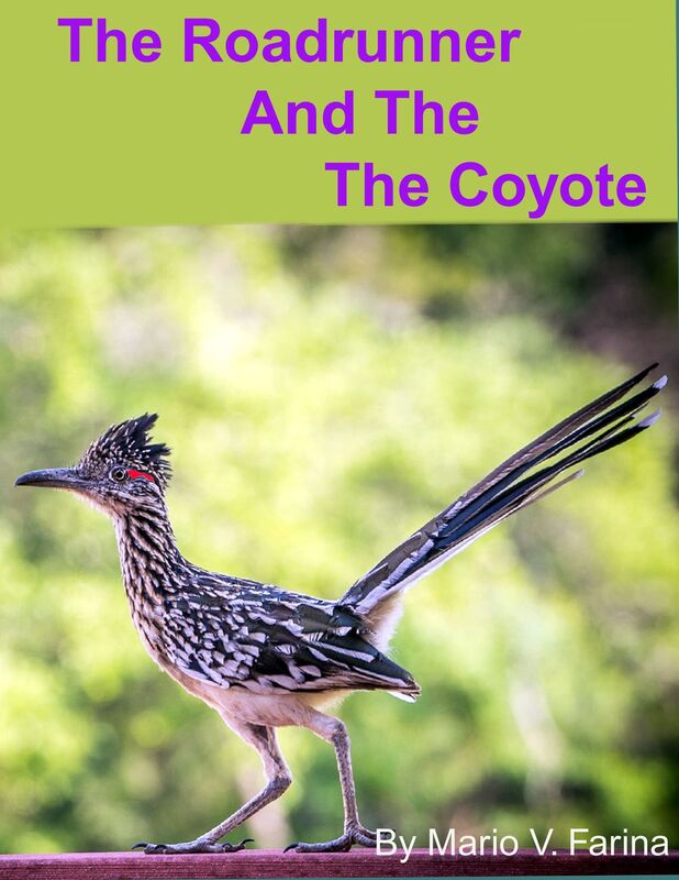 The Roadrunner And The Coyote