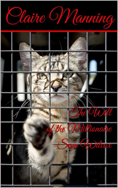 The Will of the Millionnaire Sam Wilcox