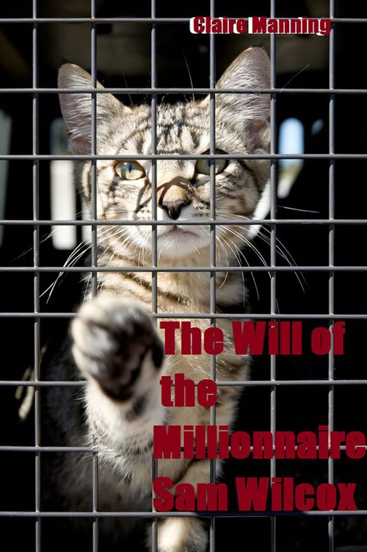 The Will of the Millionnaire Sam Wilcox