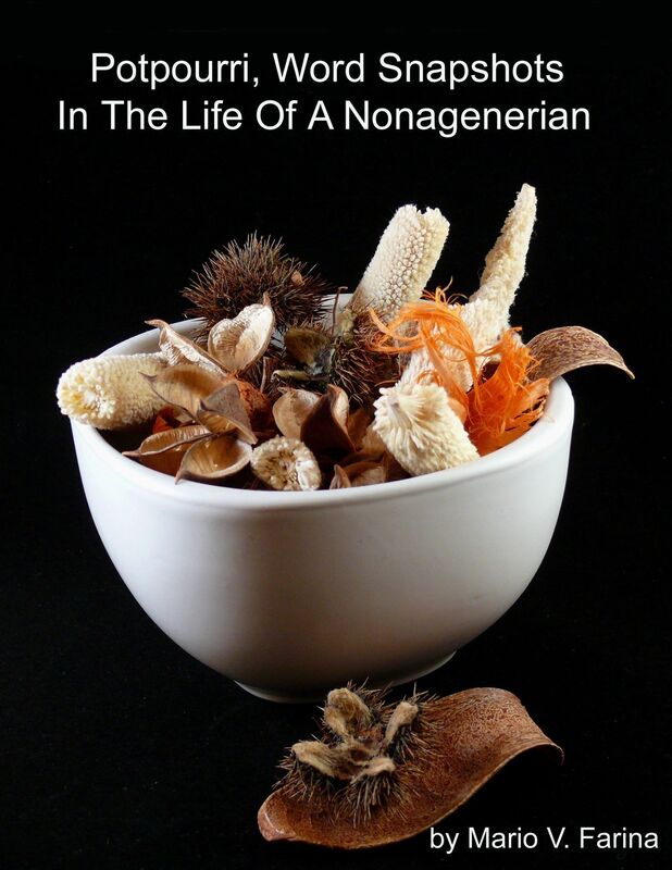 Potpourri, Word Snapshots Of Events In The Life of a Nonagenarian