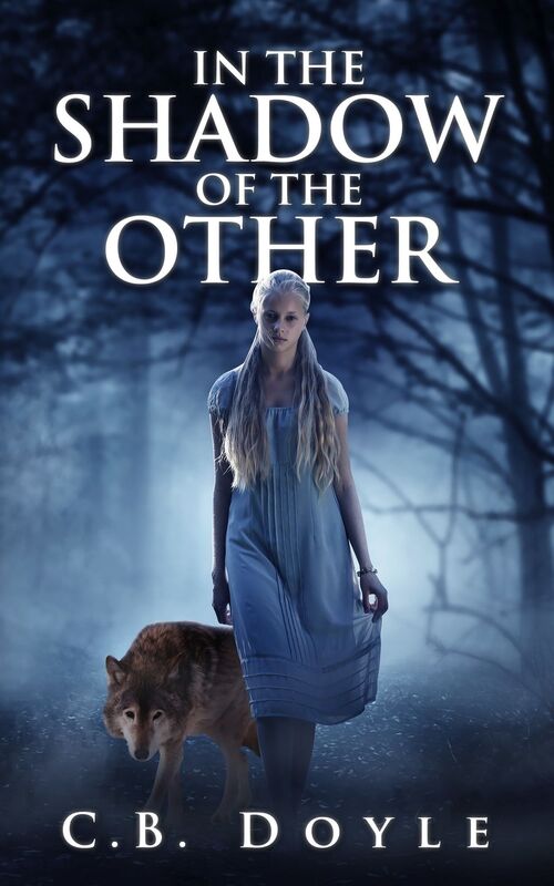 In The Shadow Of The Other