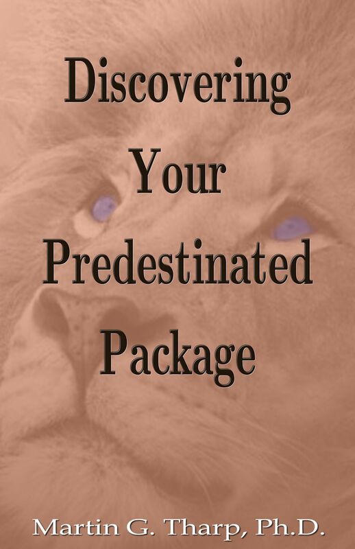 Discovering Your Predestinated Package