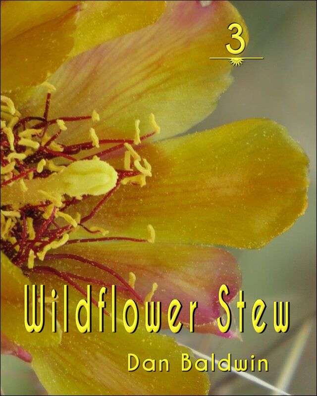 Wildflower Stew 3