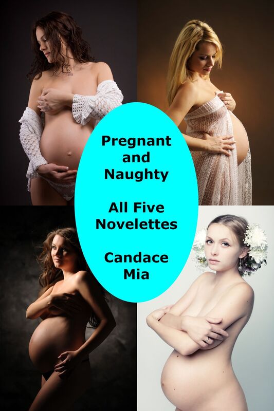 Pregnant and Naughty: All Five Novelettes