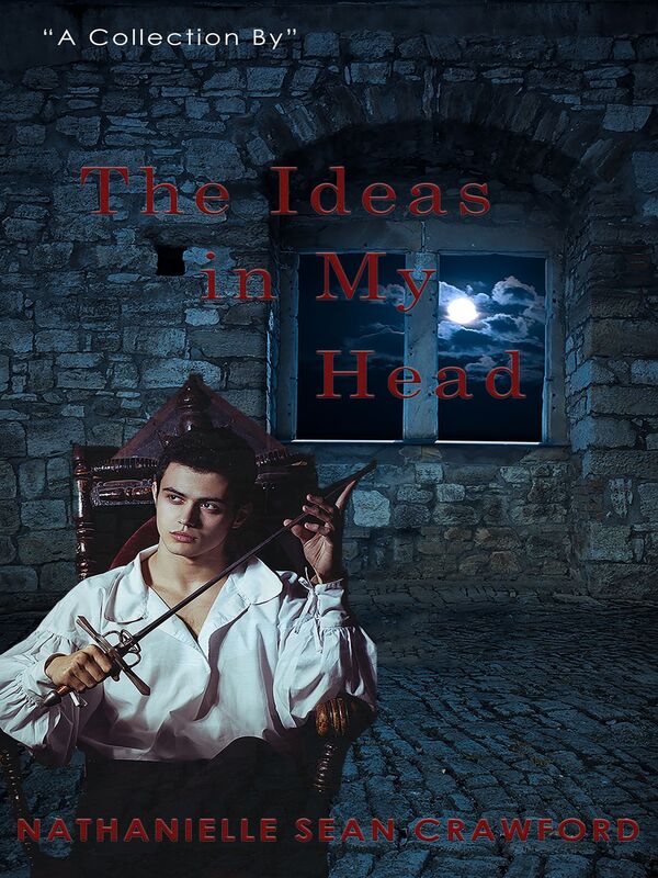 The Ideas in My Head