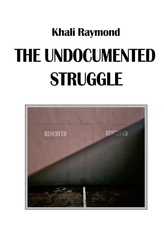 The Undocumented Struggle