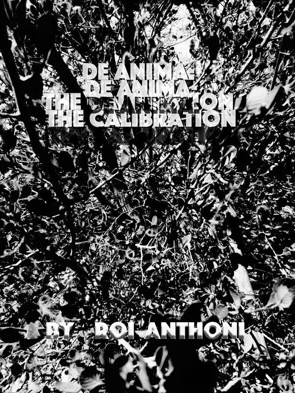 De Anima: The Calibration
