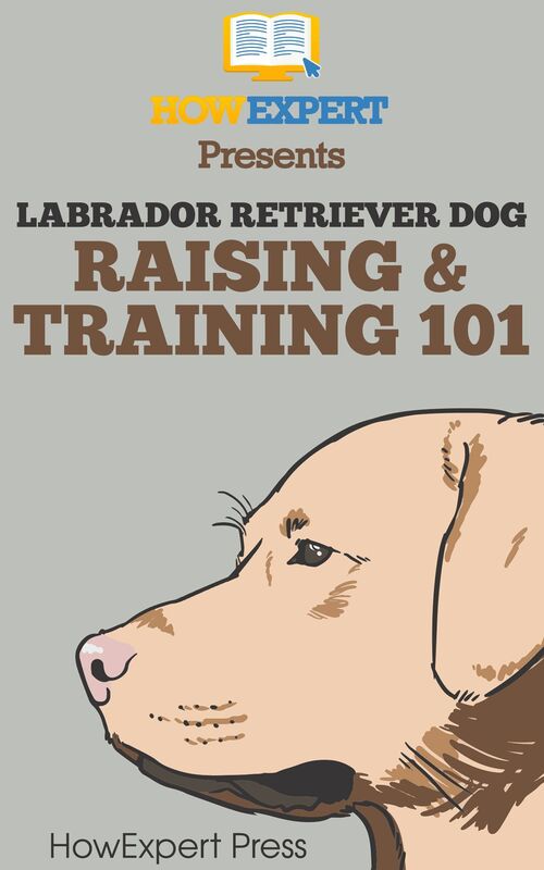 Labrador Retriever Dog Raising & Training 101